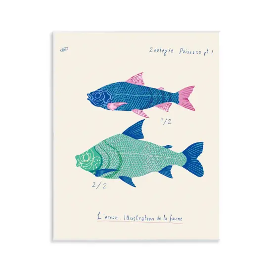 Stupell Industries Sea Fauna Studies Wall Plaque Art Design by Marina Astudillo {1}