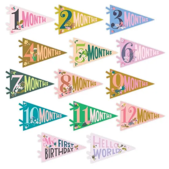 LITTLE ARTIST PETIT MILESTONE PENNANTS {1}
