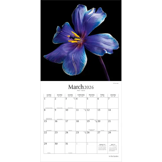 In the Garden | 2026 12 x 24 Inch (Hanging) Monthly Square Wall Calendar | Plastic-Free {3}
