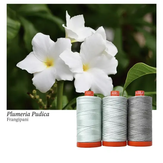 Aurifil Frangipani Thread Set by Aurifil | (3 50wt Cotton Large Spools) {1}