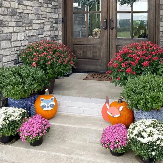 Woodland Friends Pumpkin Decorating Kit 8pc Reusable Metal Accessories {3}