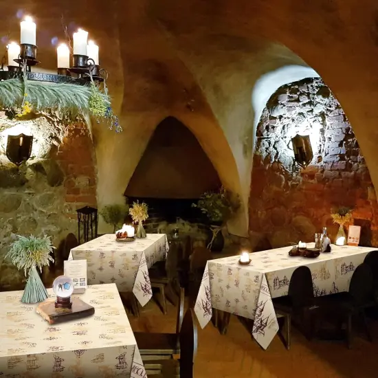 Wizard Party Plastic Table Cover {3}