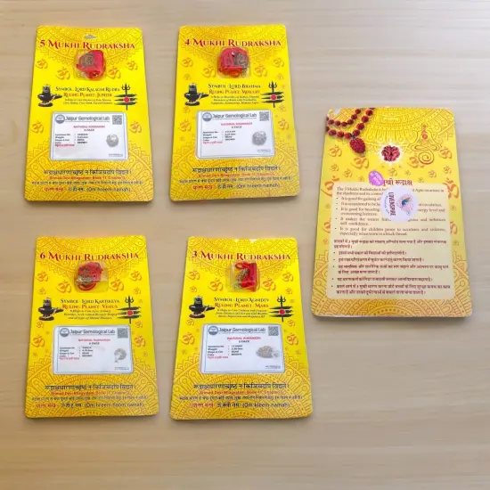 Certified Rudraksha Pendant Mala Prayer Bead Handmade Astrological Shiva Necklace Jewelry for Men Women 3 to 6 Mukhi Rudraksh with Silver Plated on Red Cotton Cord {7}