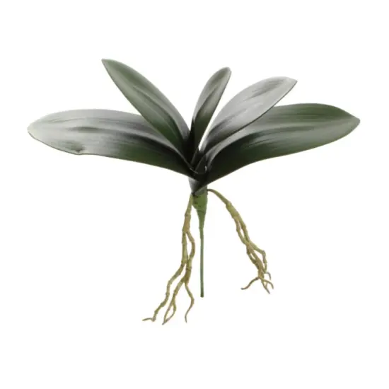 14" Phalaenopsis Leaf Cluster- 4 PACK {1}