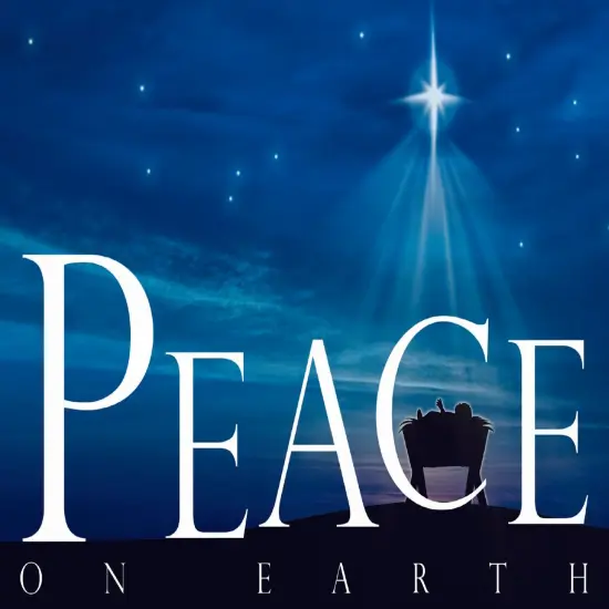 Large Boxed Christmas Card Assortment- Joyful Greetings - 24 cards and envelopes {4}