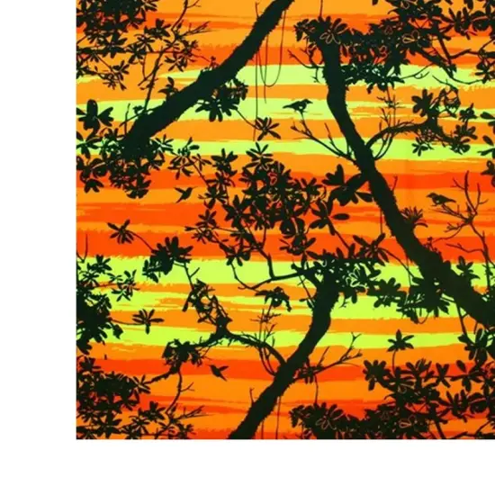 Romantic Sunset Printed Spandex {2}