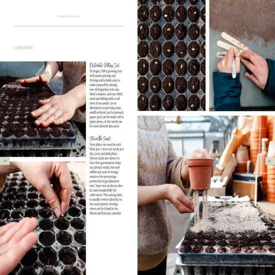 Sow, Grow, and Harvest: A Year-Round Guide to Gardening and Arranging Cut Flowers {3}