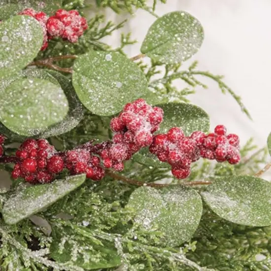 24" Snowy Eucalyptus and Cedar Wreath with Red Berries for Festive Winter Door or Wall Decor {3}
