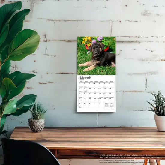 German Shepherd Puppies | 2026 7 x 14 Inch (Hanging) Monthly Mini Wall Calendar {5}
