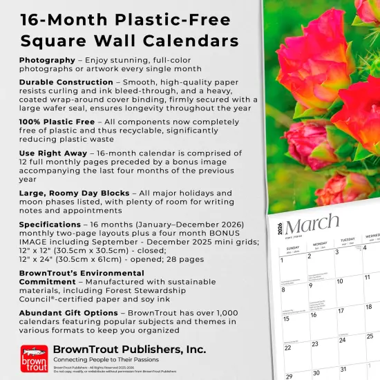 Texas Wildflowers | 2026 12 x 24 Inch (Hanging) Monthly Square Wall Calendar | Plastic-Free {6}