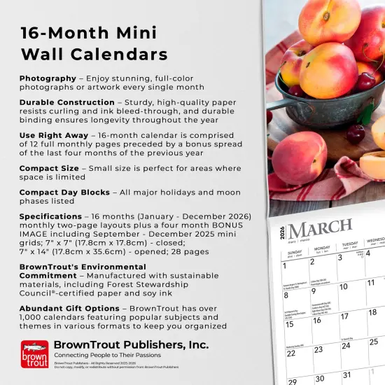 Kitchen | 2026 7 x 14 Inch (Hanging) Monthly Mini Wall Calendar {6}
