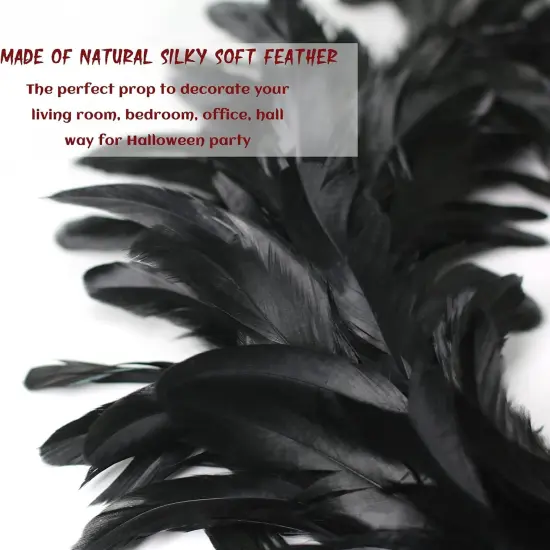 15.7 Inch Black Feather Wreath {2}