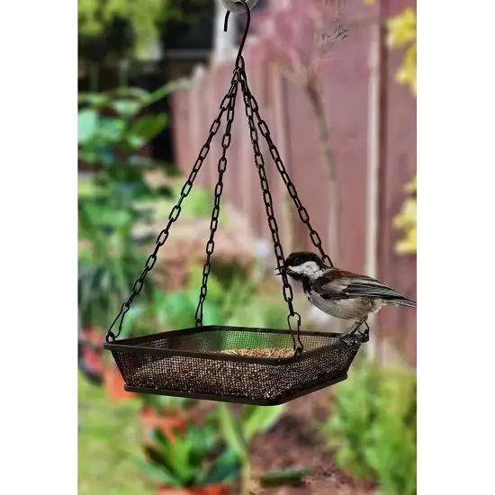 Black Iron Mesh Weatherproof Hanging Bird Feeder Tray with Chain and Perch {2}