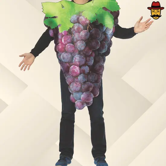 Adult Purple Grapes Costume Funny Fruit Tunic One Piece Halloween Party Outfit {6}