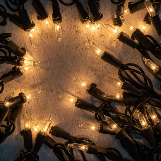 Clear Christmas Lights with Black Wire {2}