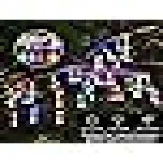 Teardrop Water Drop Solar Light {4}