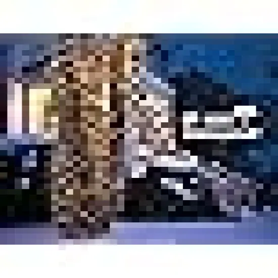 Waterproof Fairy Twinkle Lights for Christmas Party {4}