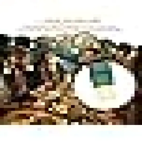 Christmas Tree Decorations {4}