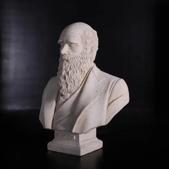 Darwin Stone Bust Life Size Statue {5}