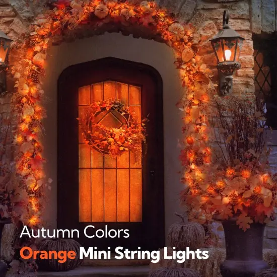 2 PACK - Orange Thanksgiving Mini Lights - Orange {5}