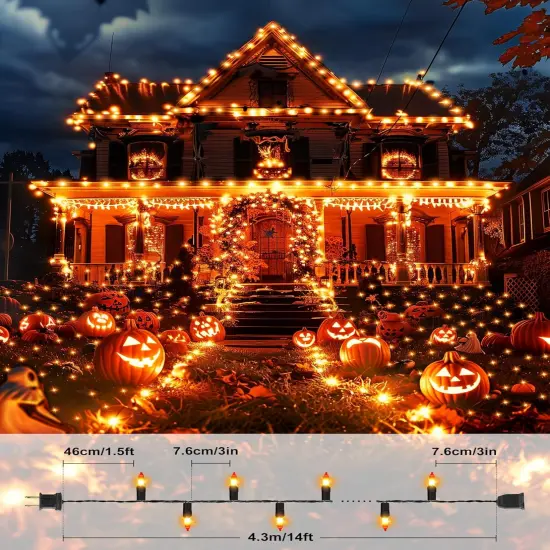 Orange Halloween Mini Lights - 50 Lights {4}