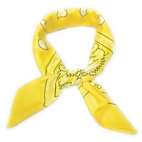 Pack of 10 Paisley Neck Hair Scarf for Women Square Chiffon Accessory {1}