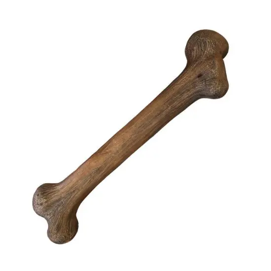 Large Dinosaur Bone Life Size Statue {3}