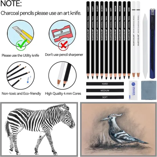 Charcoal Drawing Set, 19 Pieces, Black & White Charcoal Pencils for Drawing {2}