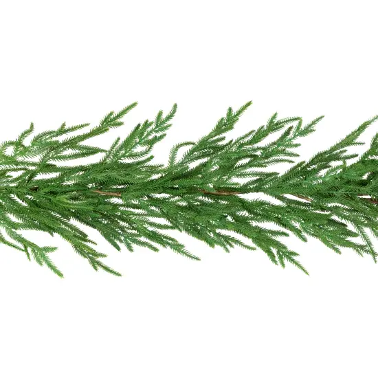 Northlight Norfolk Pine Artificial Christmas Garland - 5' - Unlit Green {5}