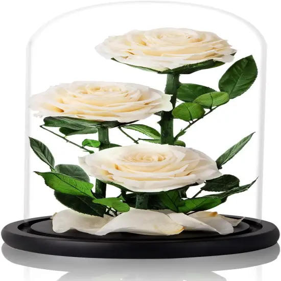 White Roses Handmade Preserved Real Rose in Glass Dome, Long Lasting Roses Never Withered, Birthday Gifts for Women (13 inch) {2}