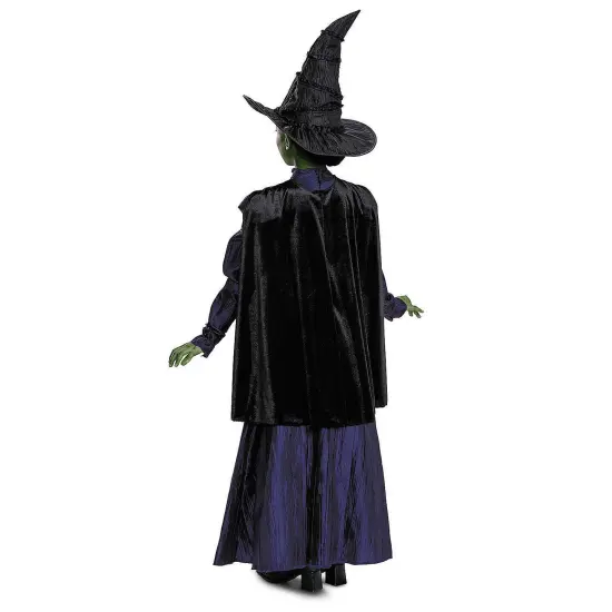 Toddler Deluxe Wicked Elphaba Costume Purple Dress Cape Hat Toddler Size Fits 3T&ndash;4T {3}