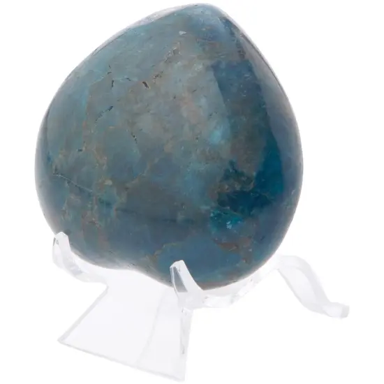 Plymor Clear Acrylic Wave Display Easel, 2" H x 1.75" W x 2.125" D {3}