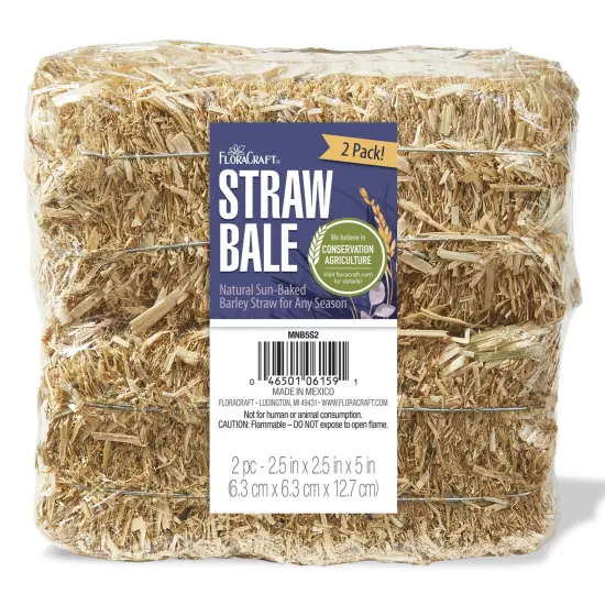 FloraCraft Decorative Natural Straw Bale 2/Pkg-2.5"X2.5"X5" {1}