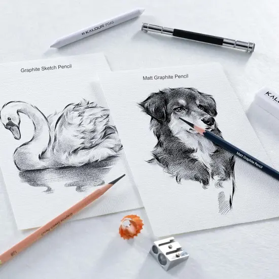 25-Piece Professional Graphite Sketch Pencil Set with Matte and Regular Pencils - Includes Vinyl Eraser, Kneaded Eraser, Sharpener, Pencil Extender and Blending Stump - Ideal for Artists and Beginners {2}