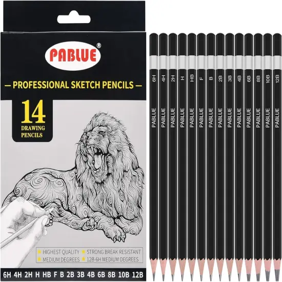 Professional Triangular Drawing Sketching Pencil Set,6H,4H,2H,H,HB,F,B,2B,3B,4B,6B,8B,10B,12B Graphite Shading Pencils for Beginners,ProArtists,Drawing,Drafting,Sketching,Shading(14 Pcs) {1}