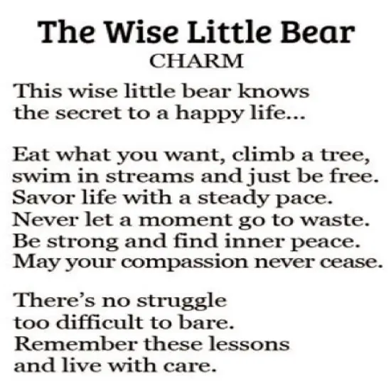 The Wise Little Bear Charm {3}