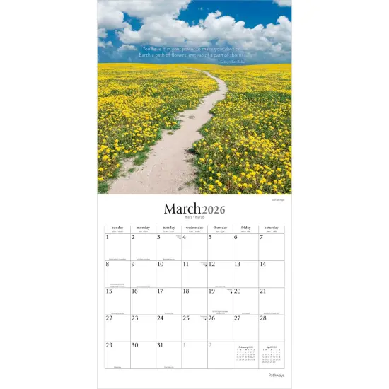 Pathways | 2026 12 x 24 Inch (Hanging) Monthly Square Wall Calendar | Plastic-Free {3}
