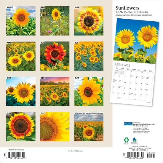 Sunflowers | 2026 12 x 24 Inch (Hanging) Monthly Square Wall Calendar | Foil Stamped Cover {2}