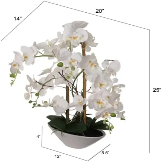 Set of 2 Phalaenopsis Orchids with White Ceramic Vase &ndash; 23" Elegant Decor {3}
