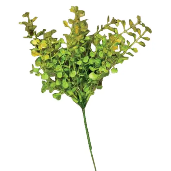 Green Pepper Grass Pick, 9" {1}