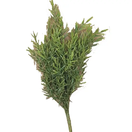 Dill Leaves Bush, 15" {1}