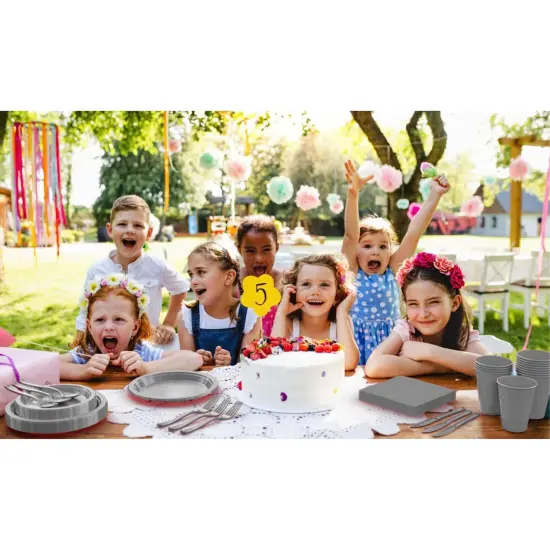 Exquisite 350 Pcs Plastic Plates for Party &ndash; Disposable Plates Set &ndash; 50 Each of 9" Dinner Plates, 7" Dessert Plates, Plastic Cups, Napkins & Plastic Cutlery &ndash; Plastic Dinnerware by Party Solids Silver {6}