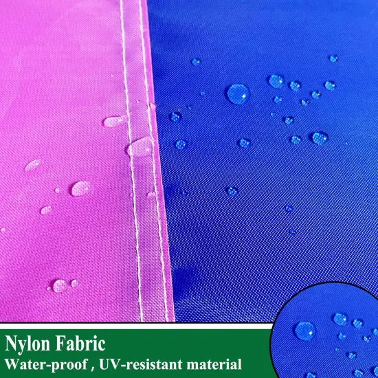 Progress Pride Rainbow Flags 2x3 Outdoor Sewn Stripes- LGBTQ Inclusive Progressive Pride Flag Heavy Duty Nylon UV Fading Resistant for Outside {5}