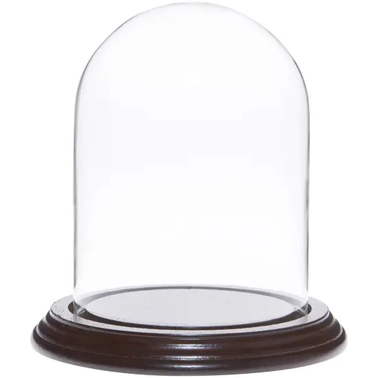 Plymor 4" x 5.25" Glass Display Dome Cloche Oak Veneer {2}