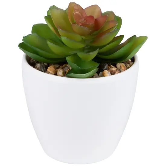 Northlight Mini White Potted Artificial Succulent Plant - 4" {4}