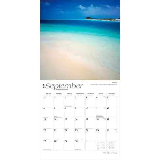 Florida Wild & Scenic | 2026 12 x 24 Inch (Hanging) Monthly Square Wall Calendar | Plastic-Free {4}
