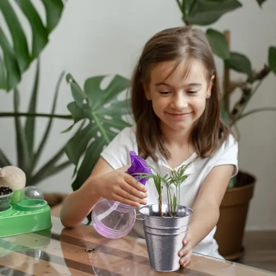 Galvanized Bucket - 12 Pack Bulk {5}