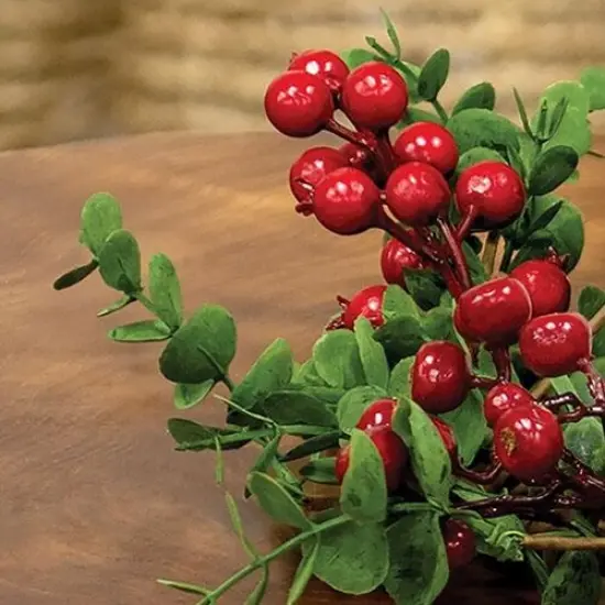 Hunter's Glen Berries & Eucalyptus Candle Ring 4.5" {2}