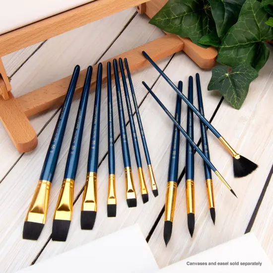 RSET-9301 | 12pc Black Taklon Long Handle Variety Brush Set {5}