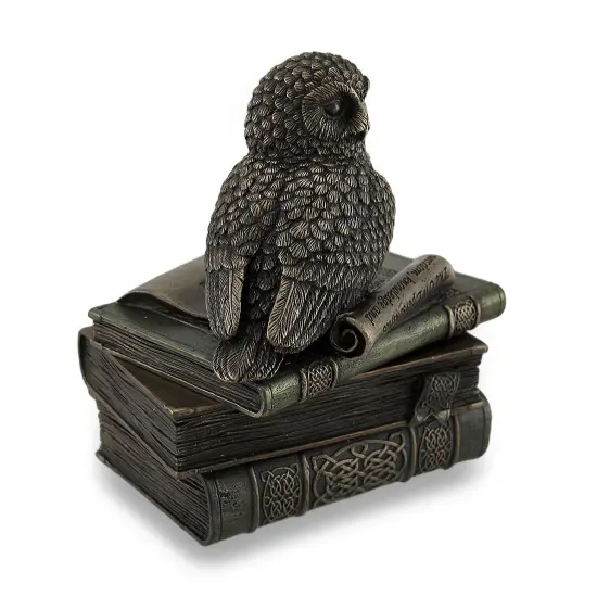 Owl Perched On Stack of Books Bronzed Trinket Box/Stash Box Statue {3}